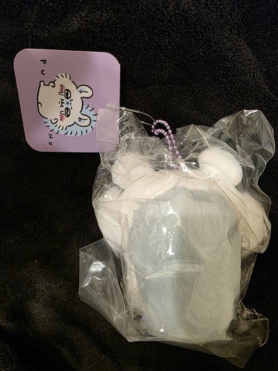 氣噗噗 小桃 全新未拆🩵🩵🌟