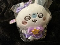 亞種小桃