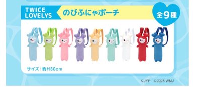 gigo 聯名 TWICE  水壺包