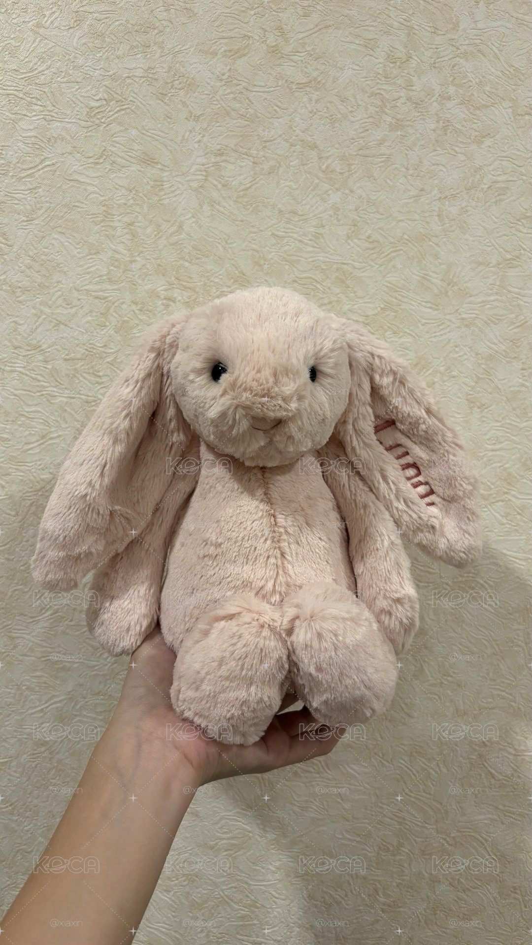 🤍預購 玫瑰粉兔兔 實體顏色看圖2🐰