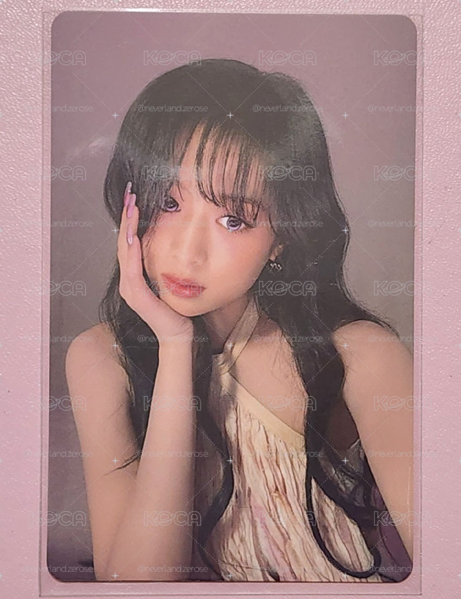 賢中背特典