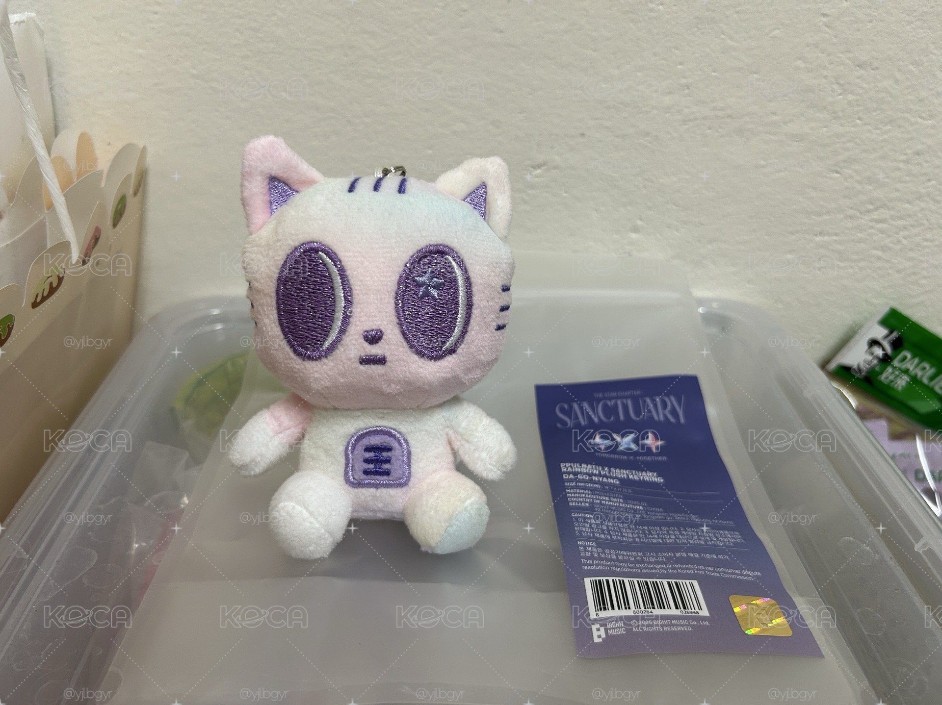 漂亮彩喵盤