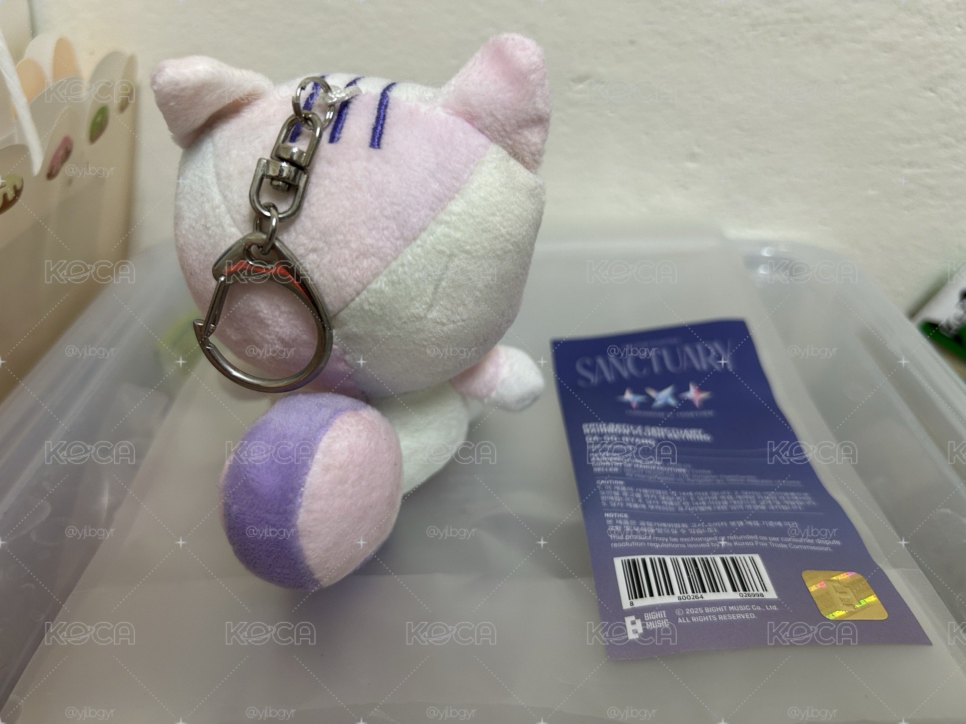 一隻漂亮彩喵