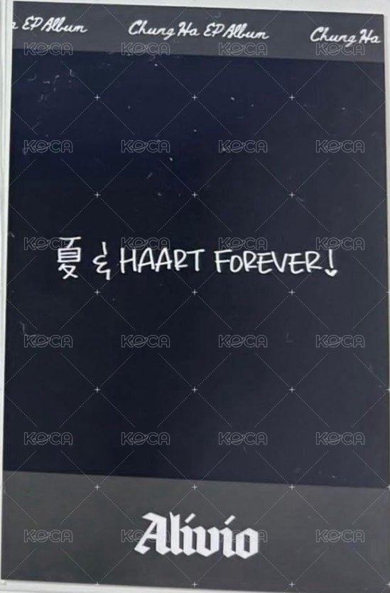 迷5 Amstar 3.0 特典卡 拍立得 背面