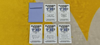 NewJeans BUNNIES CAMP 2024 東京巨蛋場 P席豪華套組 (最完整大全套！！)