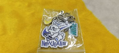 NewJeans BUNNIES CAMP 2024 東京巨蛋場 P席豪華套組 (最完整大全套！！)