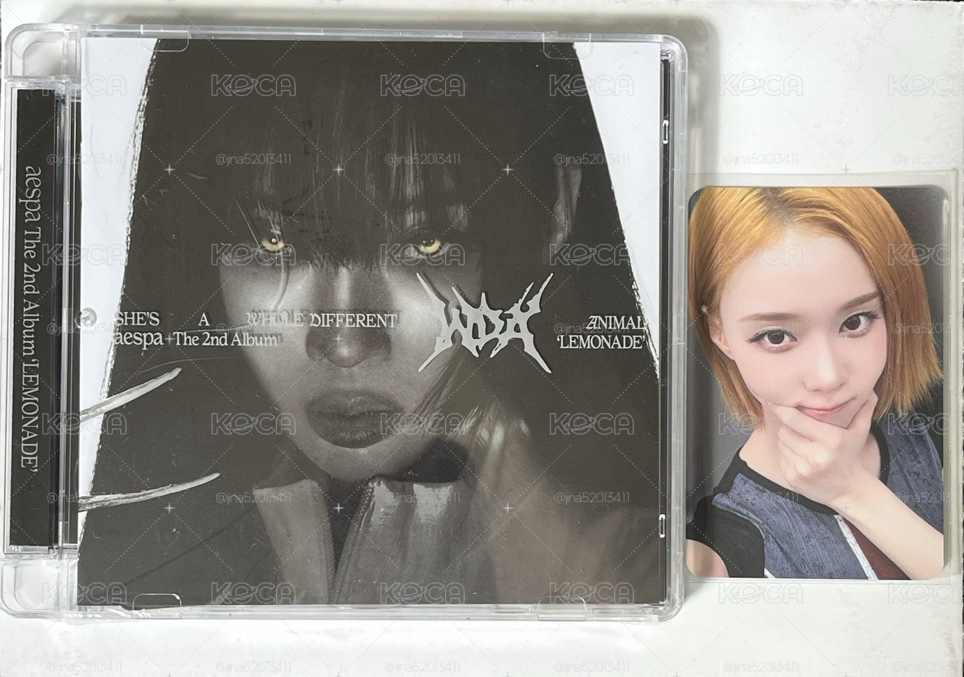 冬小盤