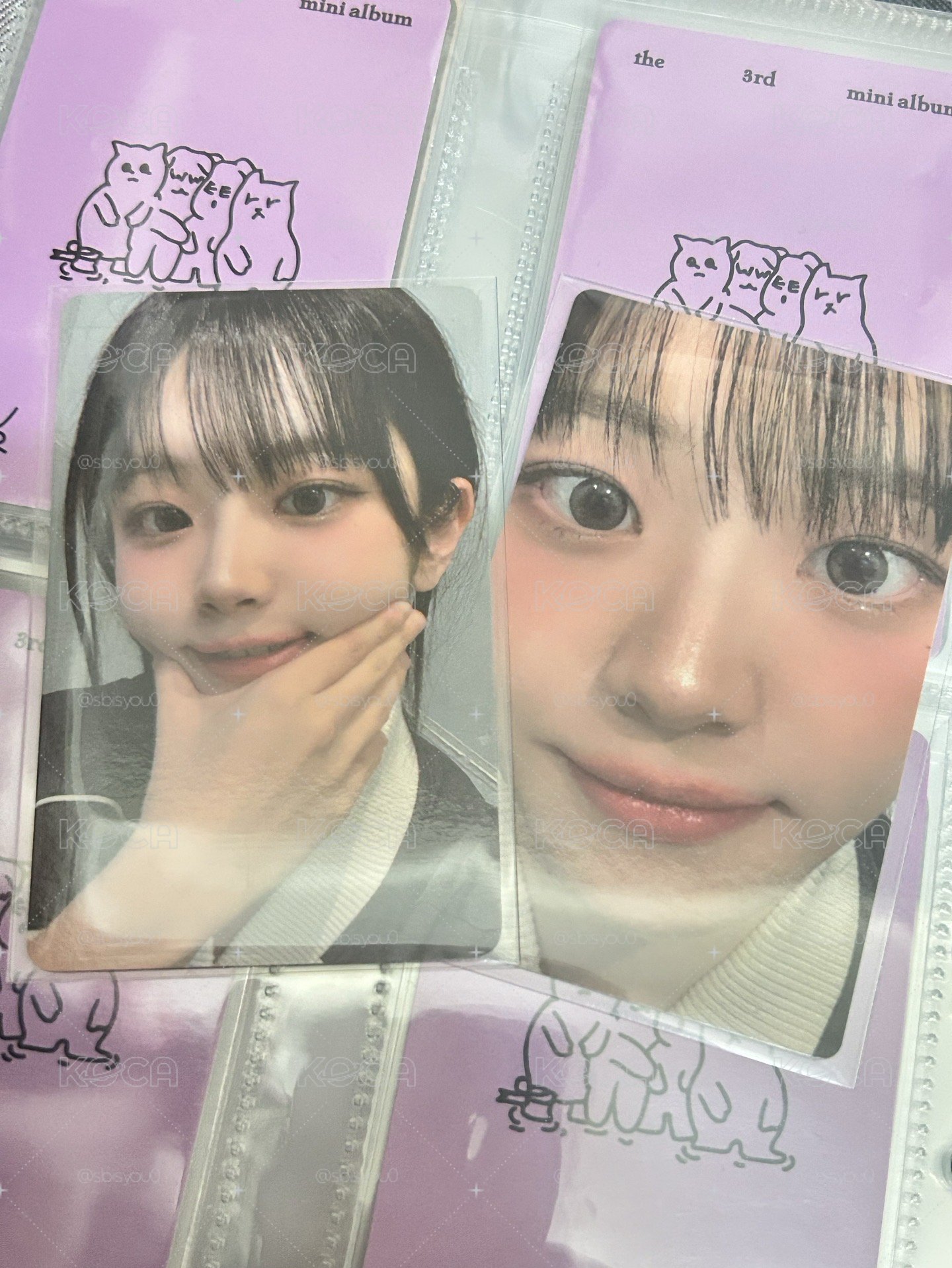 丹懟臉+阿貢包