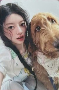 MAMIHLAPINATAPAI yzy 1.0 幸運卡 