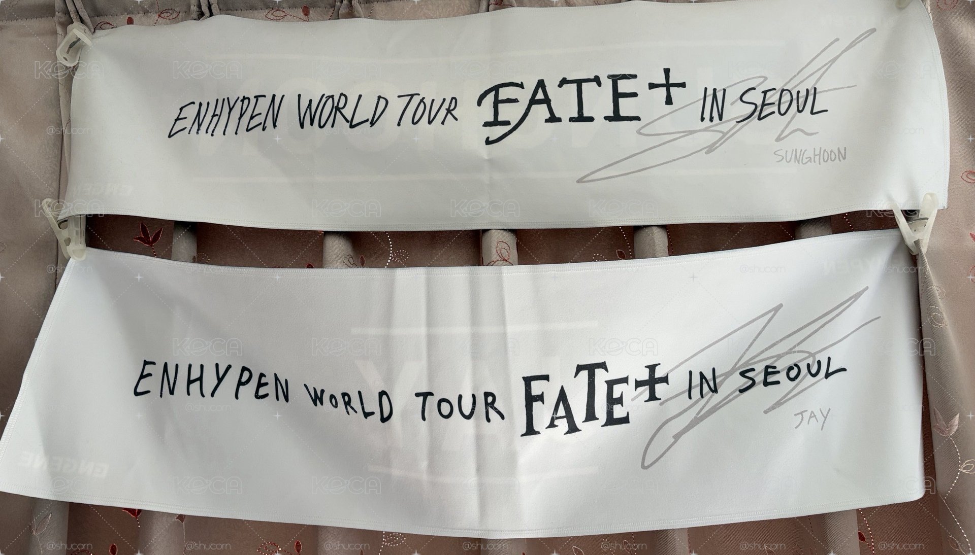 FATE PLUS 首爾場 毛巾 手幅 成訓 綜星