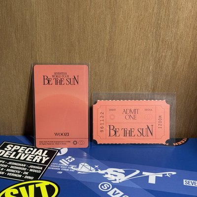 🍚BE THE SUN 演唱會DVD ver.｜WOOZI 