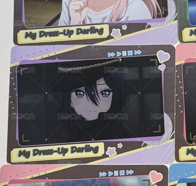 黑百合