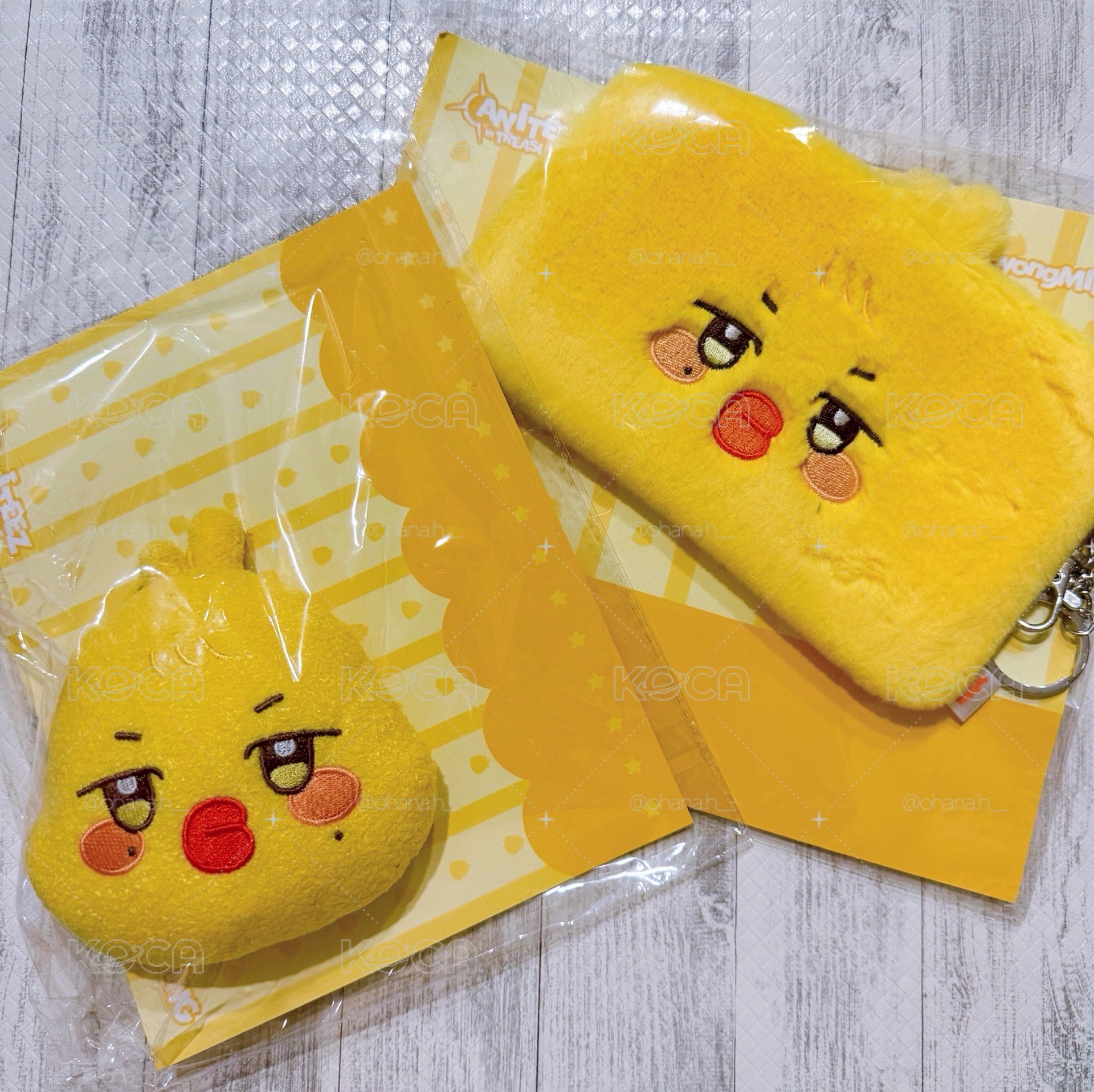 ANITEEZ in Treasure大頭蹦旼+蹦旼包