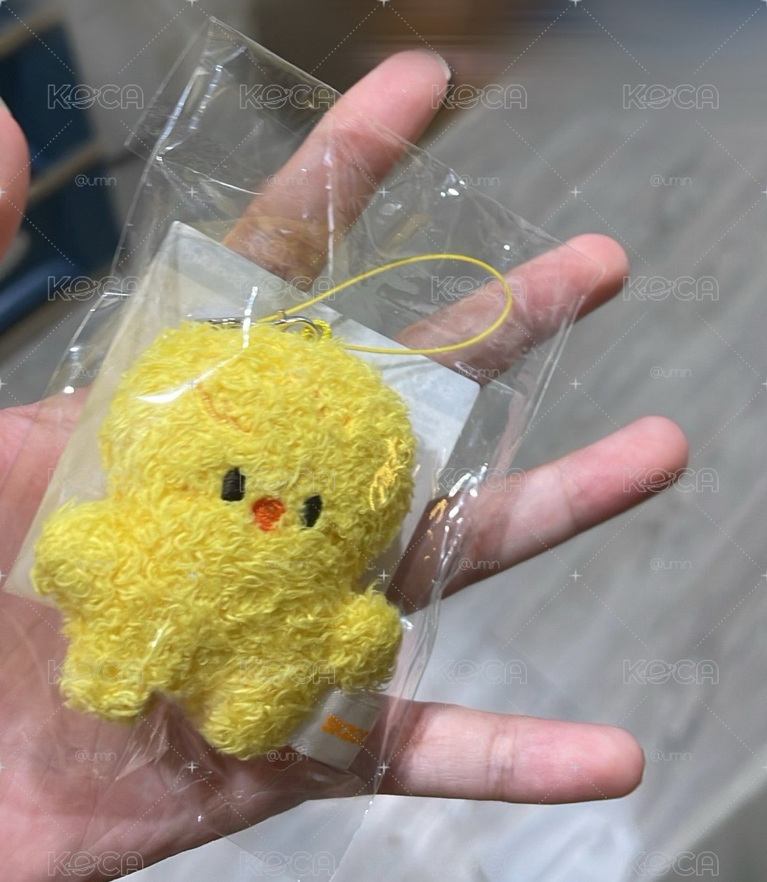 五期潦草波阿里