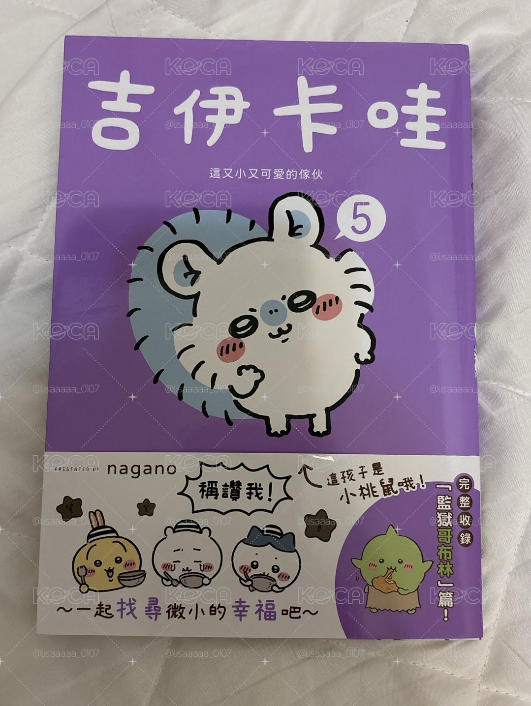 吉伊小桃盤