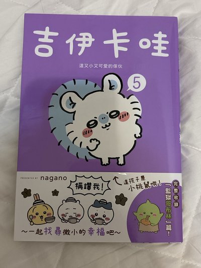 吉伊小桃盤