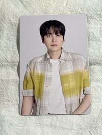 圭