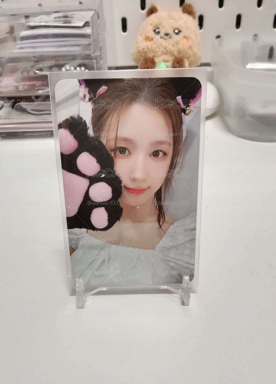mu3.0簽售貓抓麵
