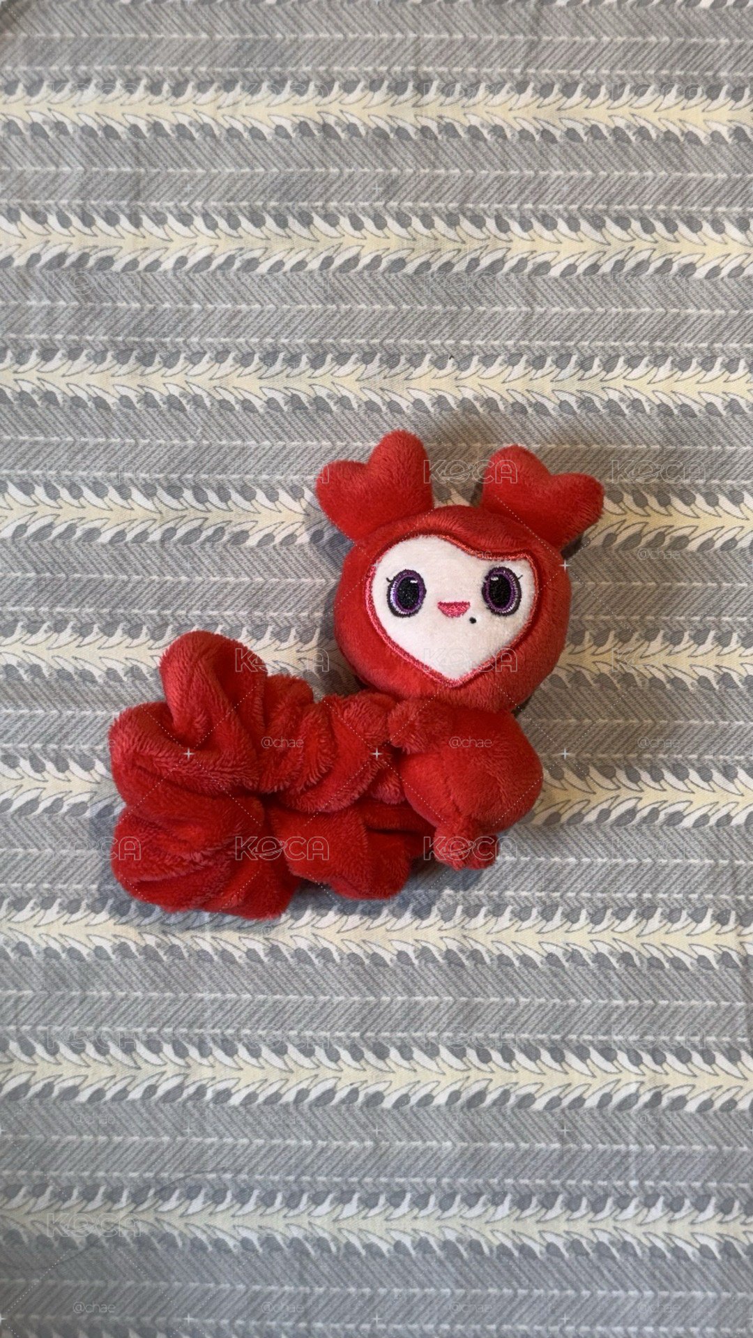 彩瑛🍓 六巡仁川場髮圈