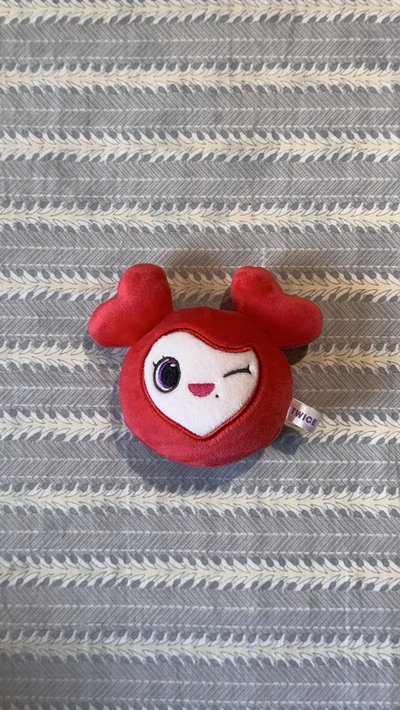 彩瑛🍓 十週年壓力球