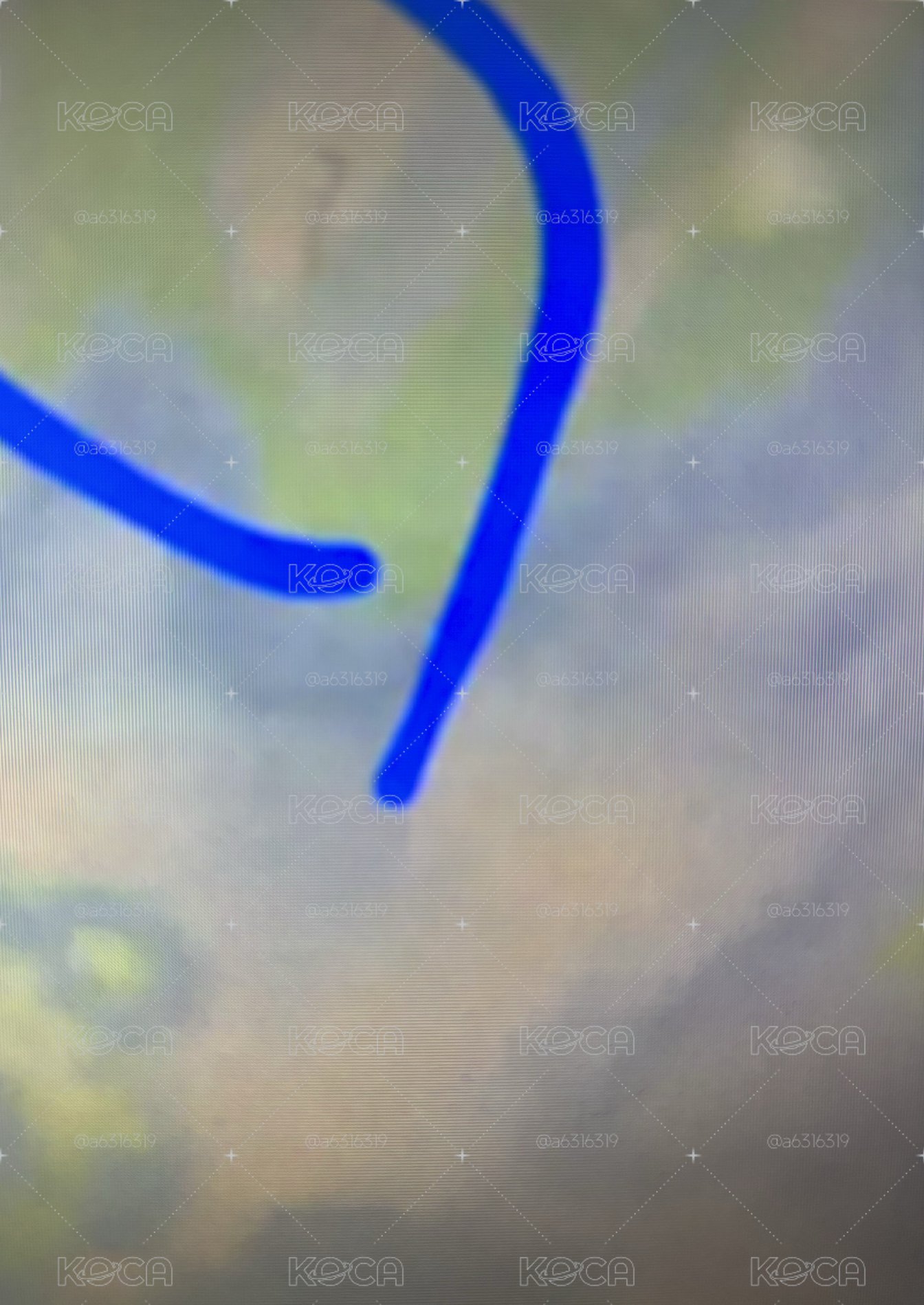 限定允