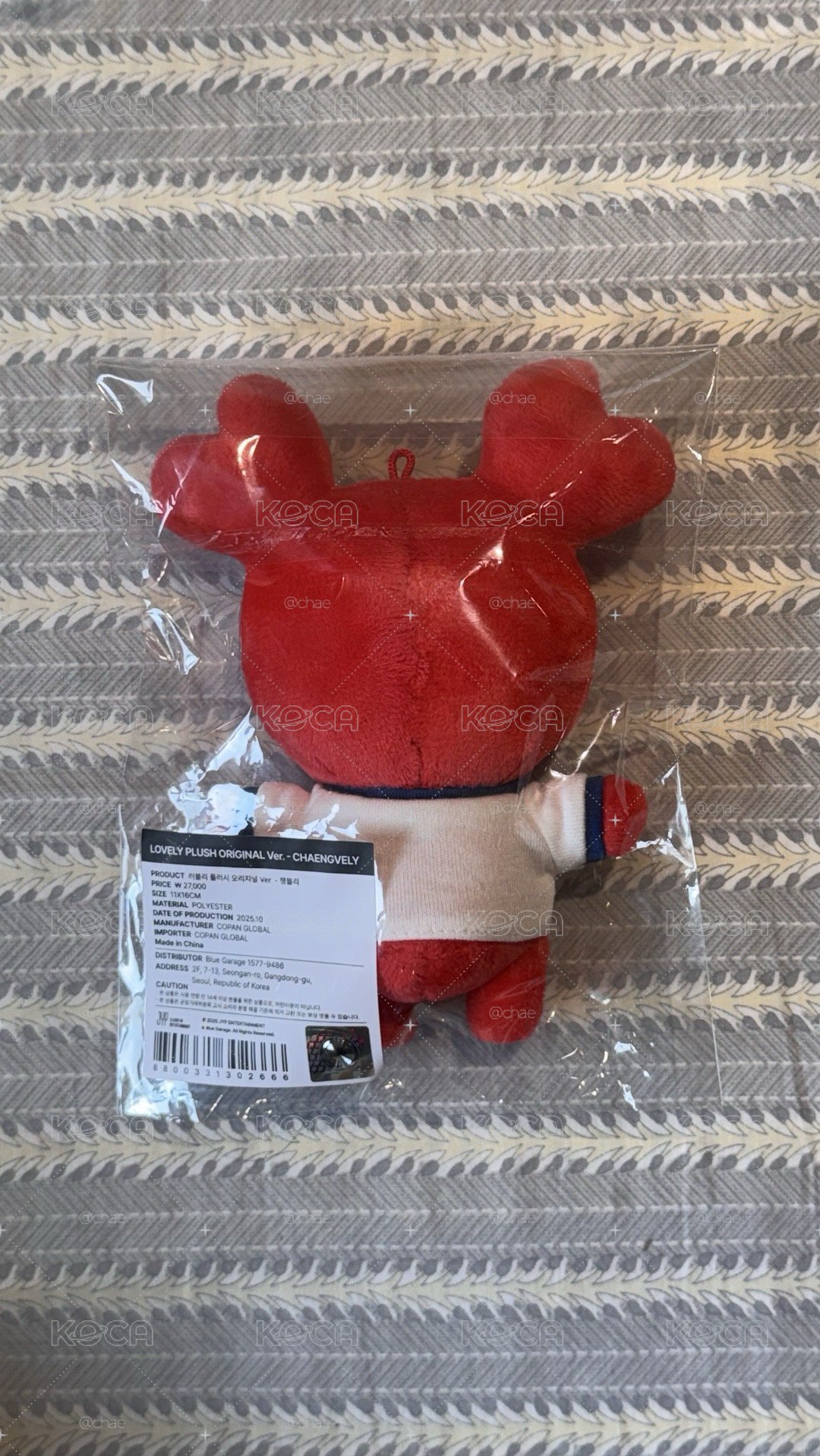 彩瑛🍓 十週年太空娃