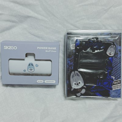 燦行動電源 行充