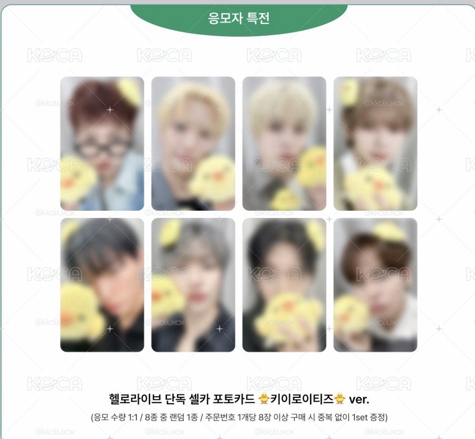 HL 1.0 簽售卡 小雞🐥
