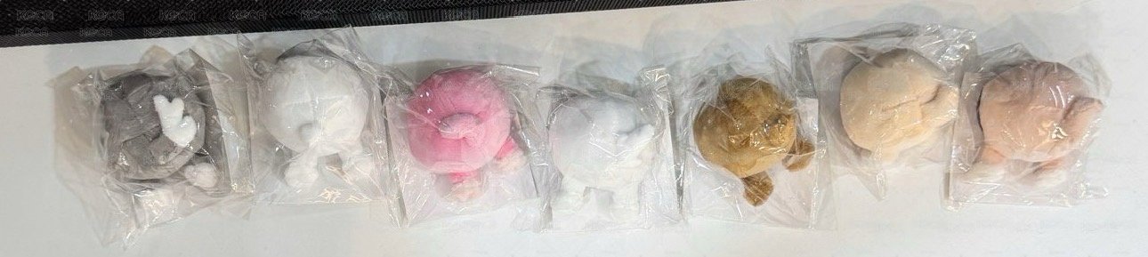🩵可當綁可單出2區🩵