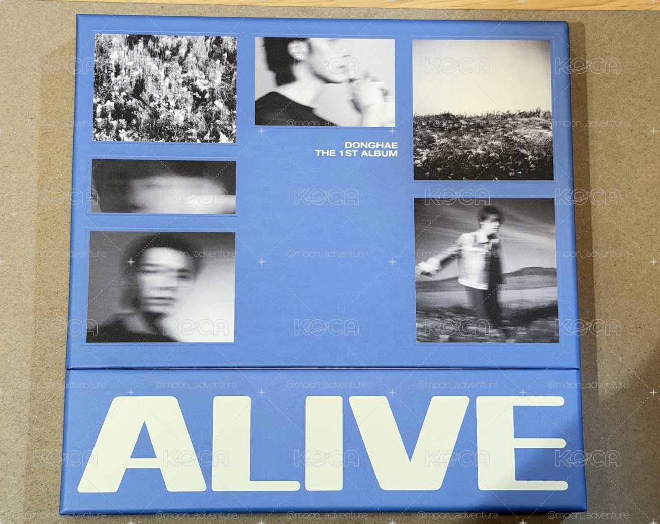 東海 ALIVE 空專（無小卡其他都有）