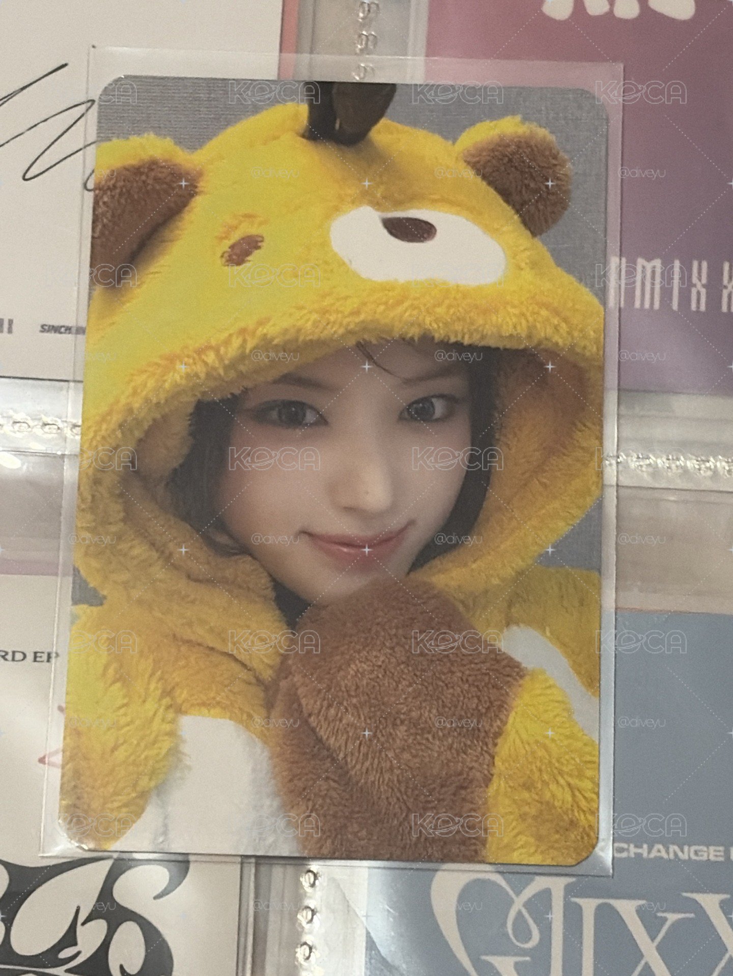 蜜蜂友