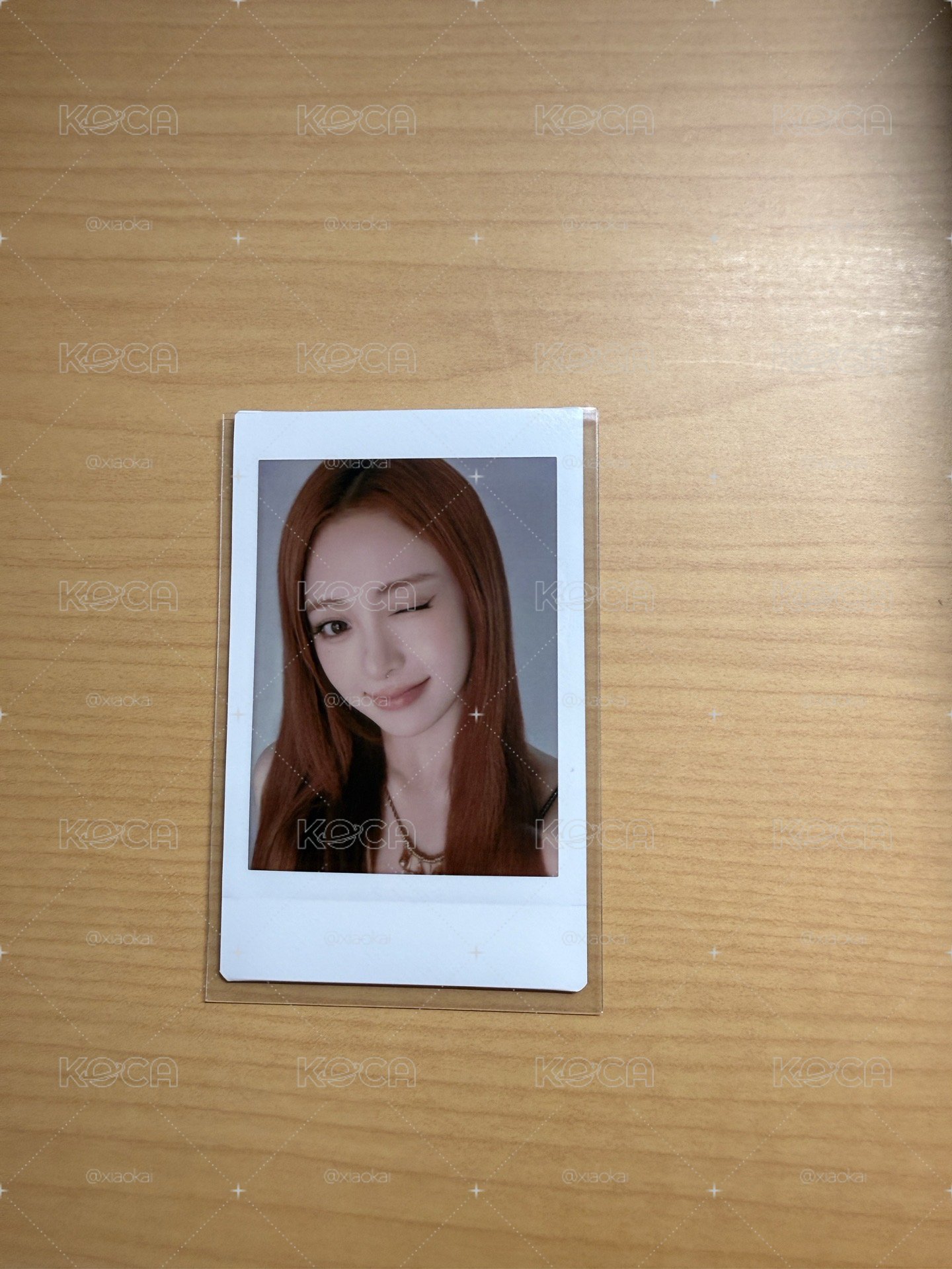 成員拍立得