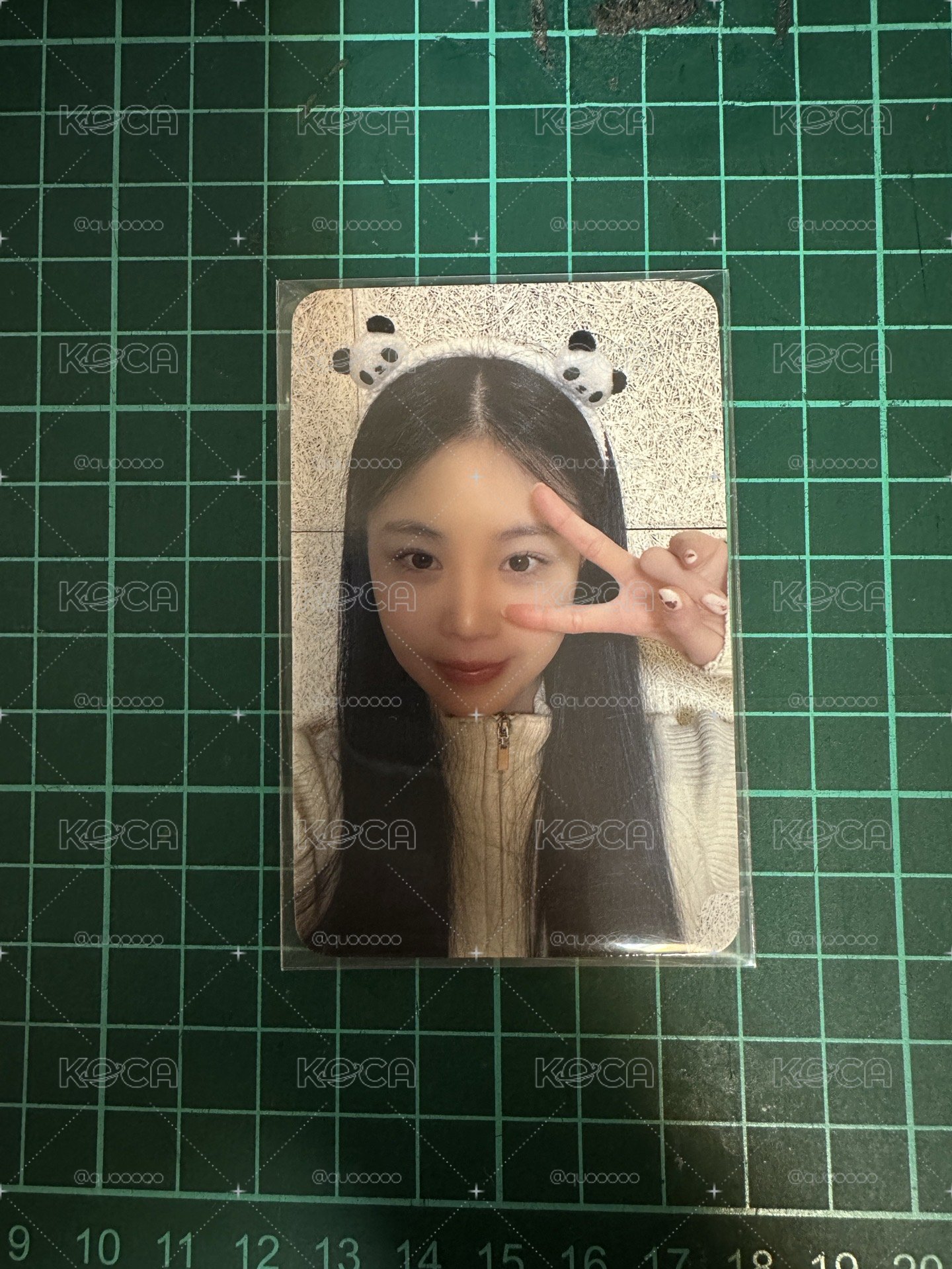 熊貓珍 sr中背