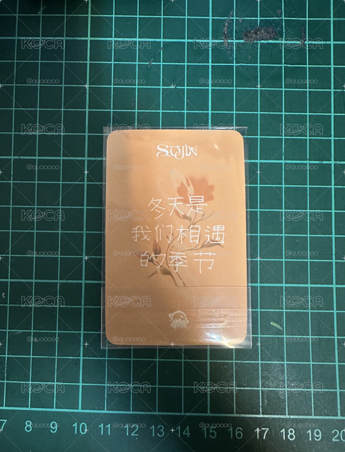 熊貓珍 sr中背