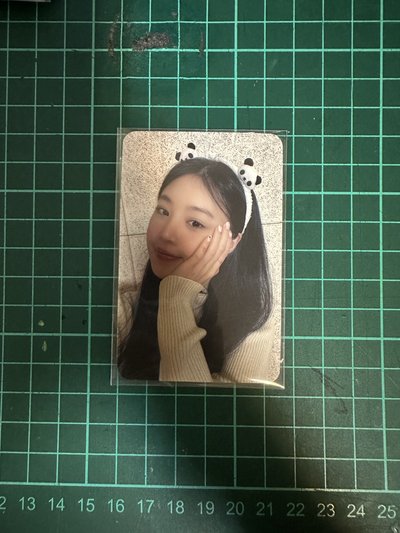 熊貓珍 sr中背