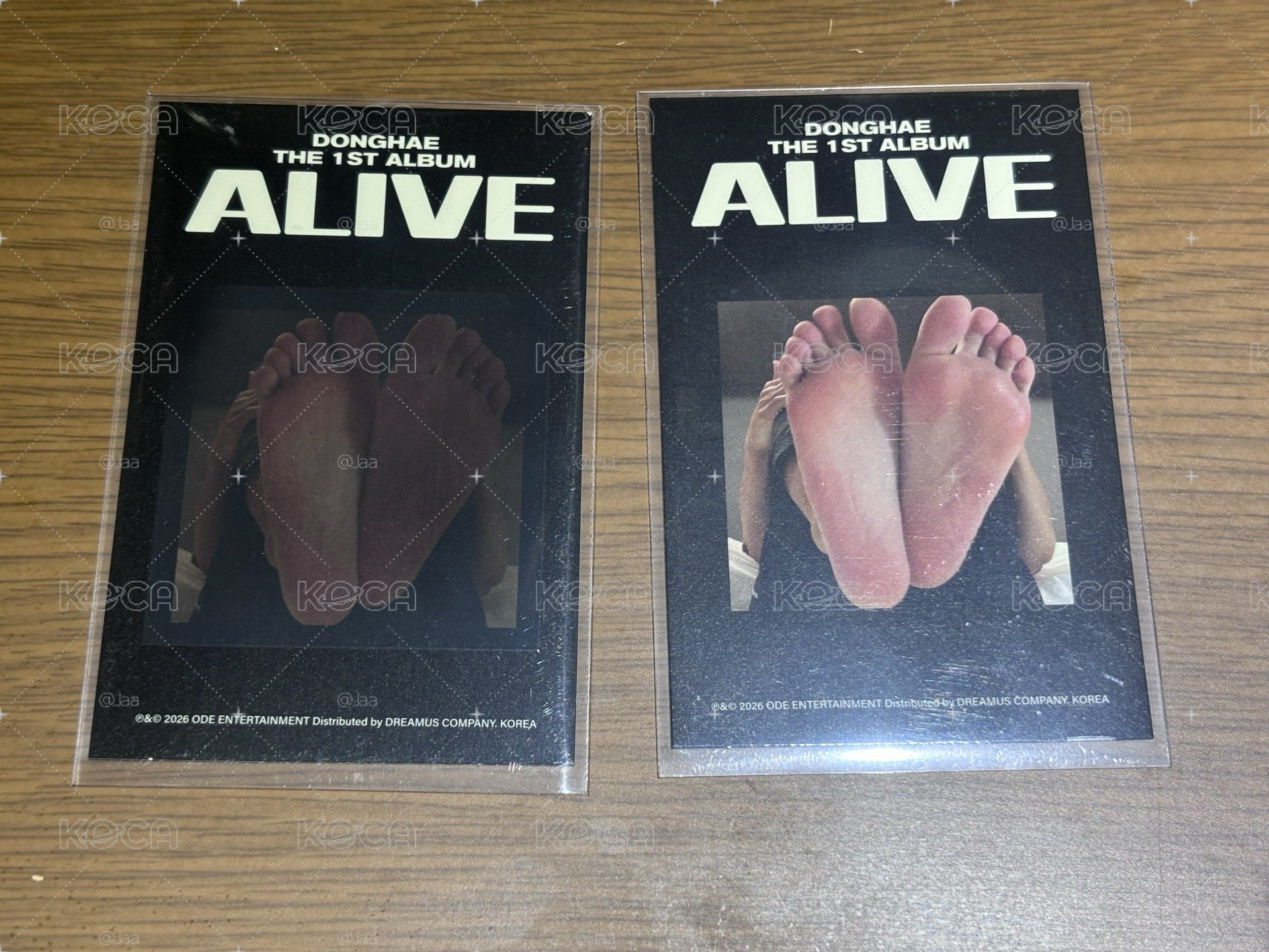 東海 solo ALIVE 小卡 熱感卡