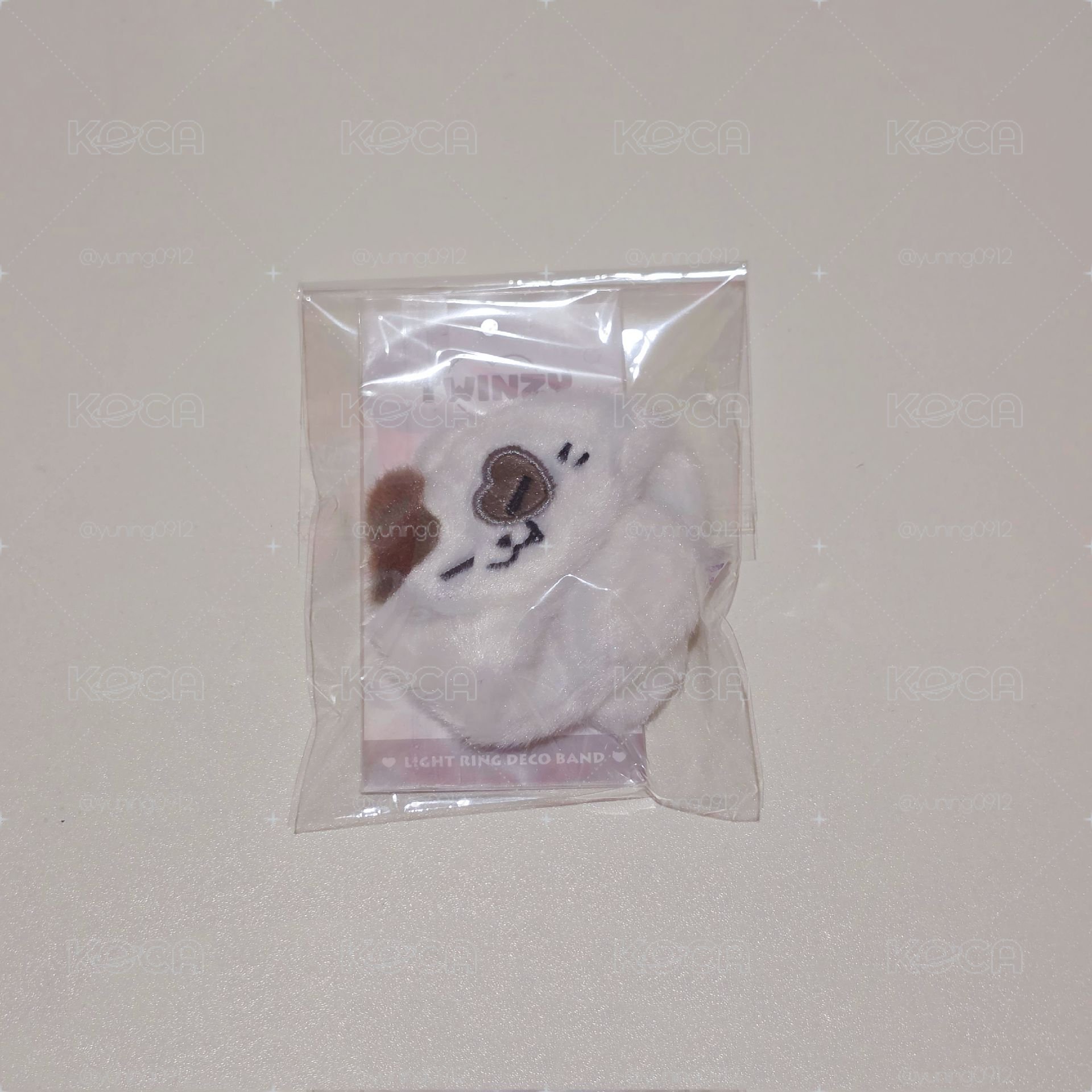 志手燈環