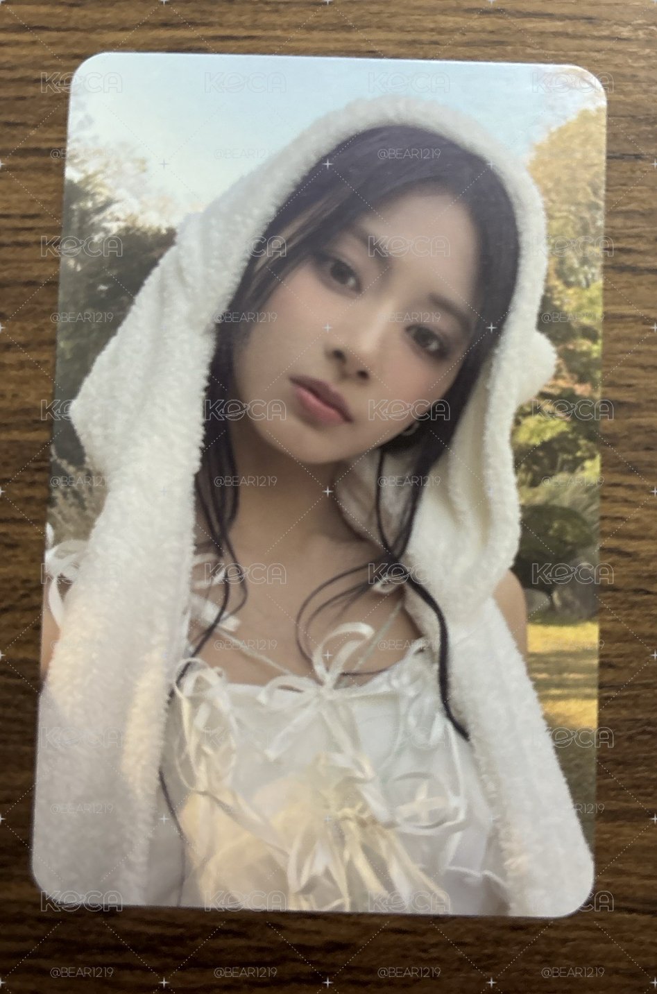 美麗的熊帽瑜💙（有損）