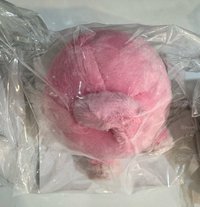 彬屁屁支架