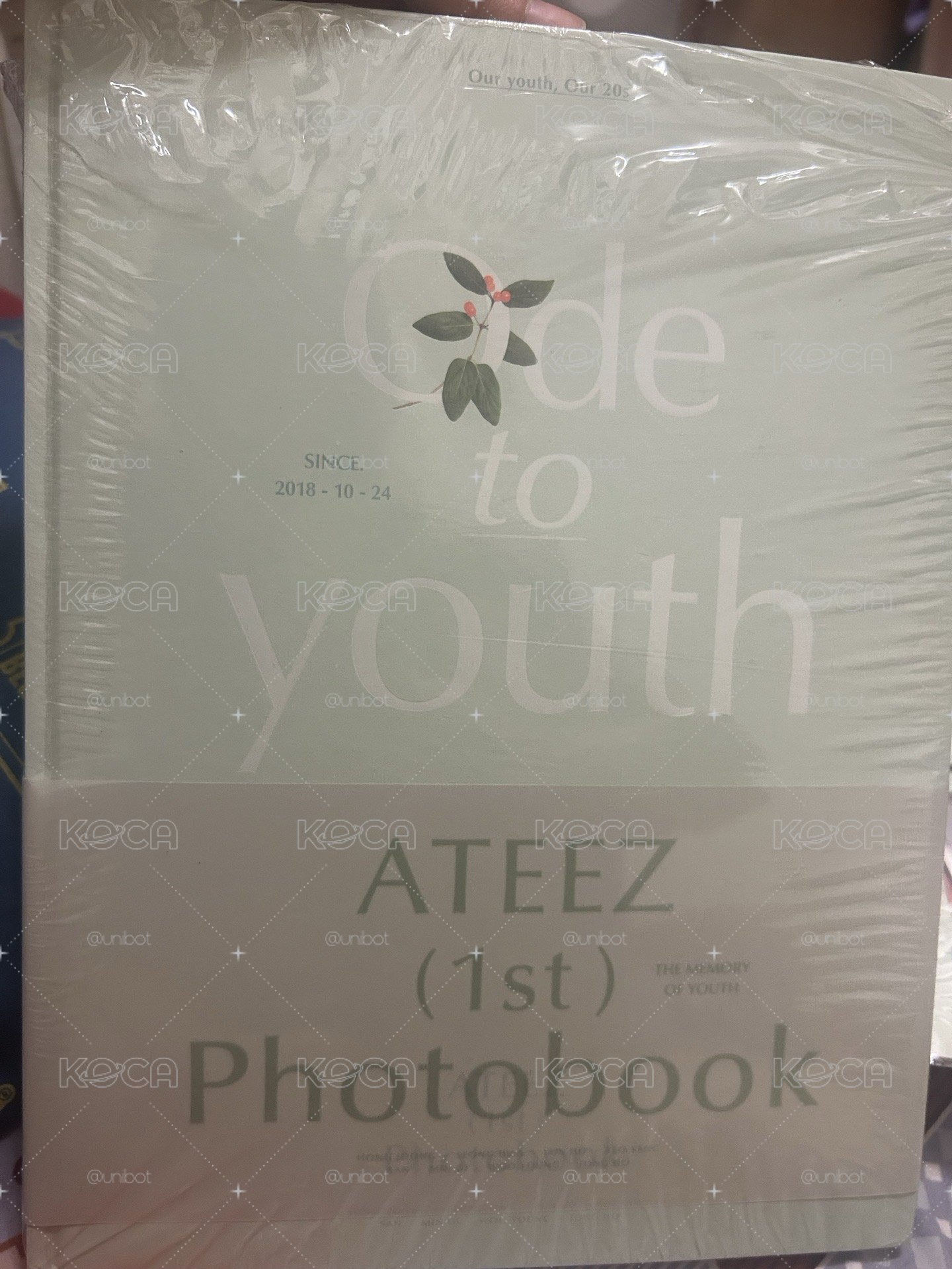 Ode to youth寫真