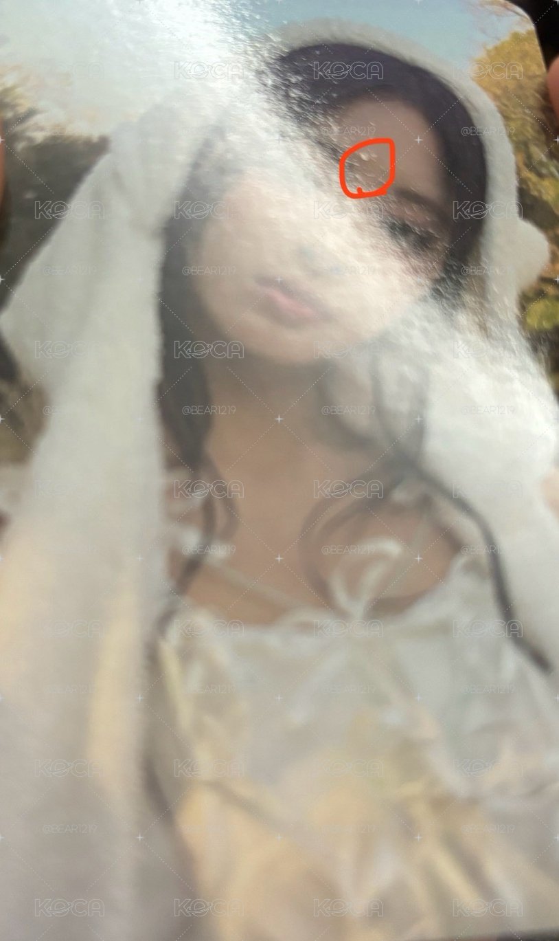 美麗的熊帽瑜💙（有損）