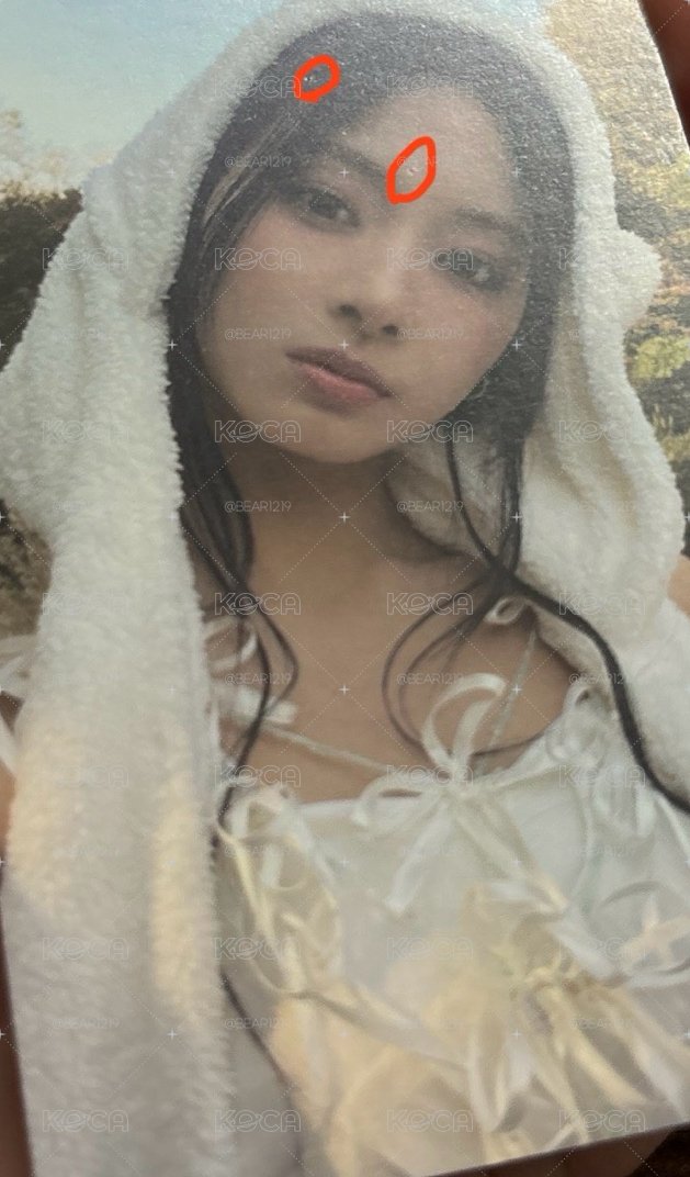 美麗的熊帽瑜💙（有損）