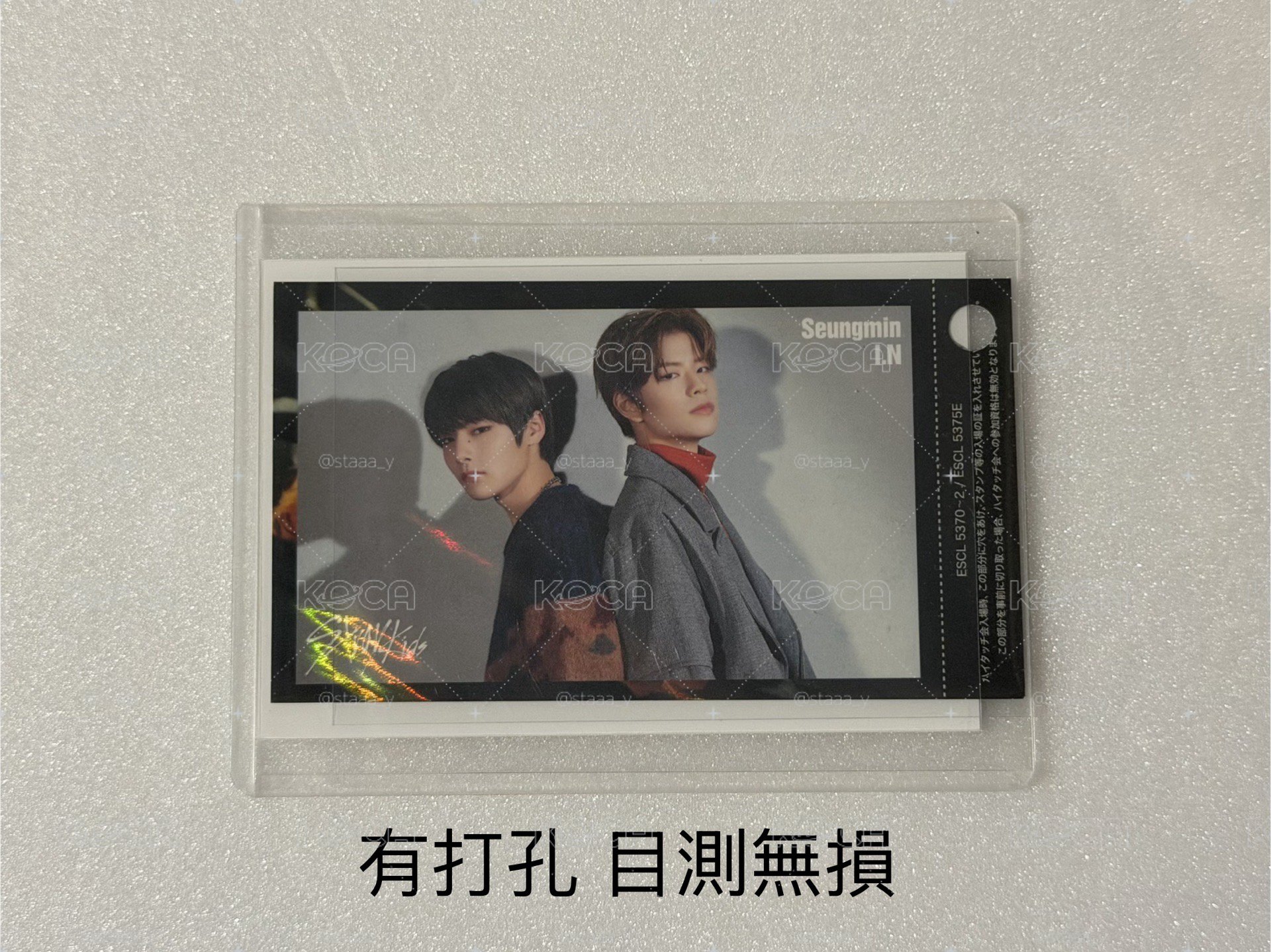 手燈蝴蝶結大盤