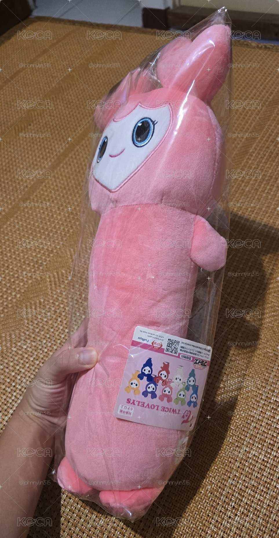 gigo momo組合