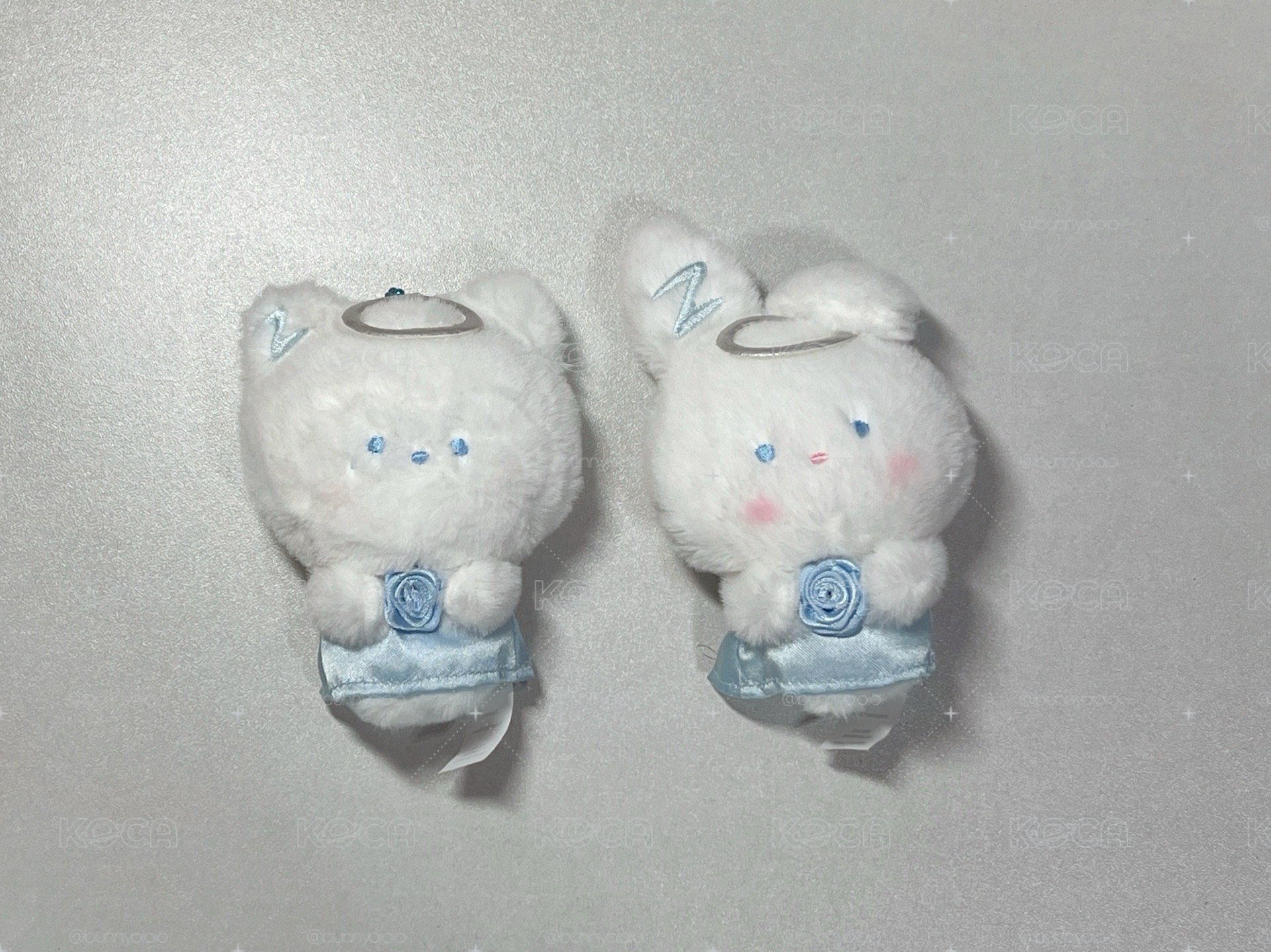 很多男團｜購買先看介紹