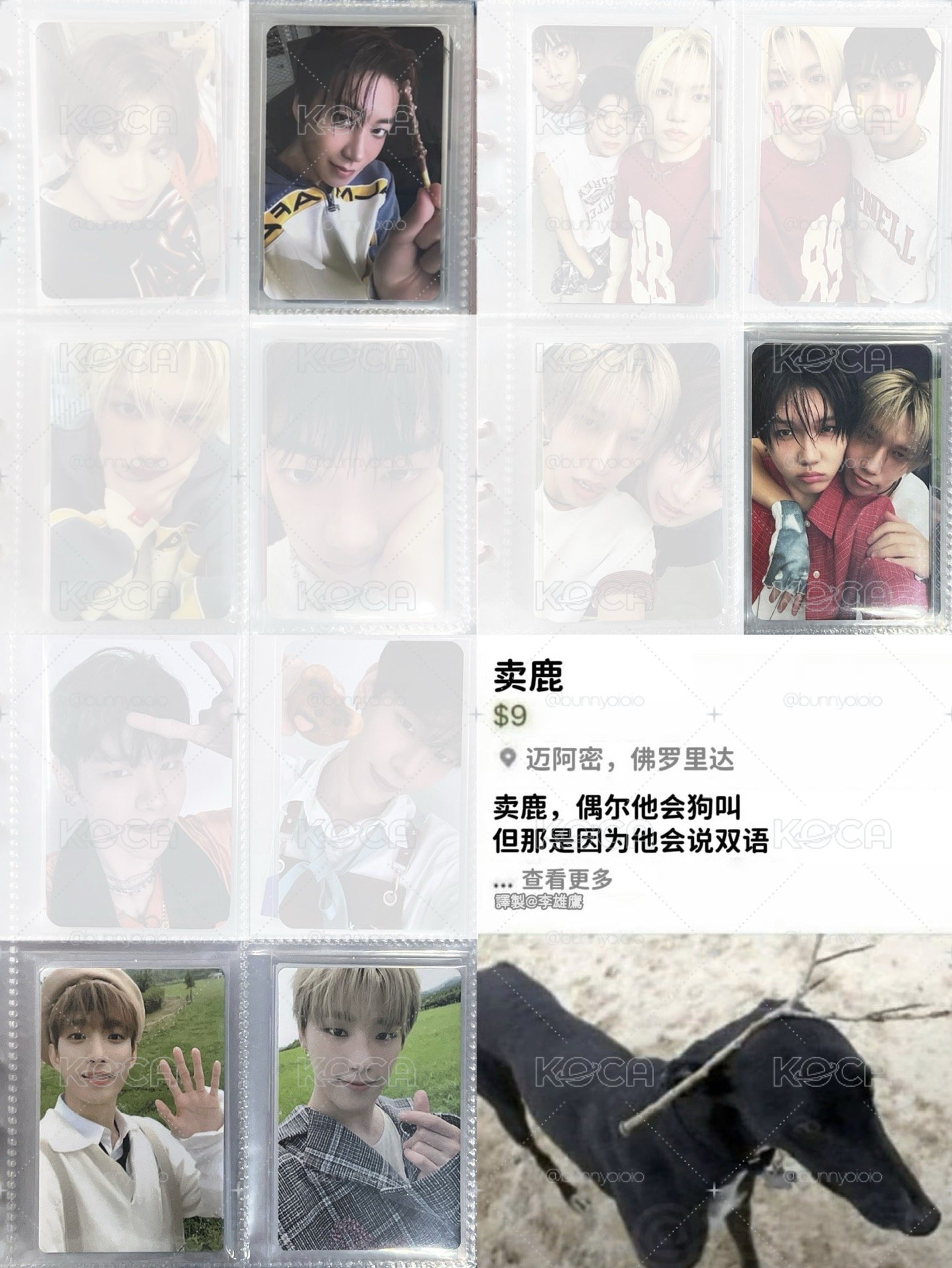 很多男團｜購買先看介紹