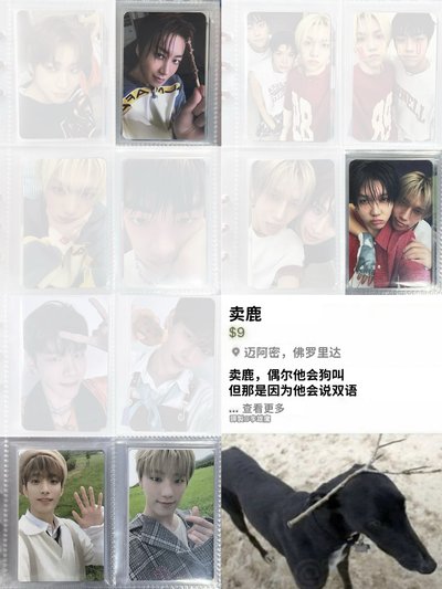 很多男團｜購買先看介紹