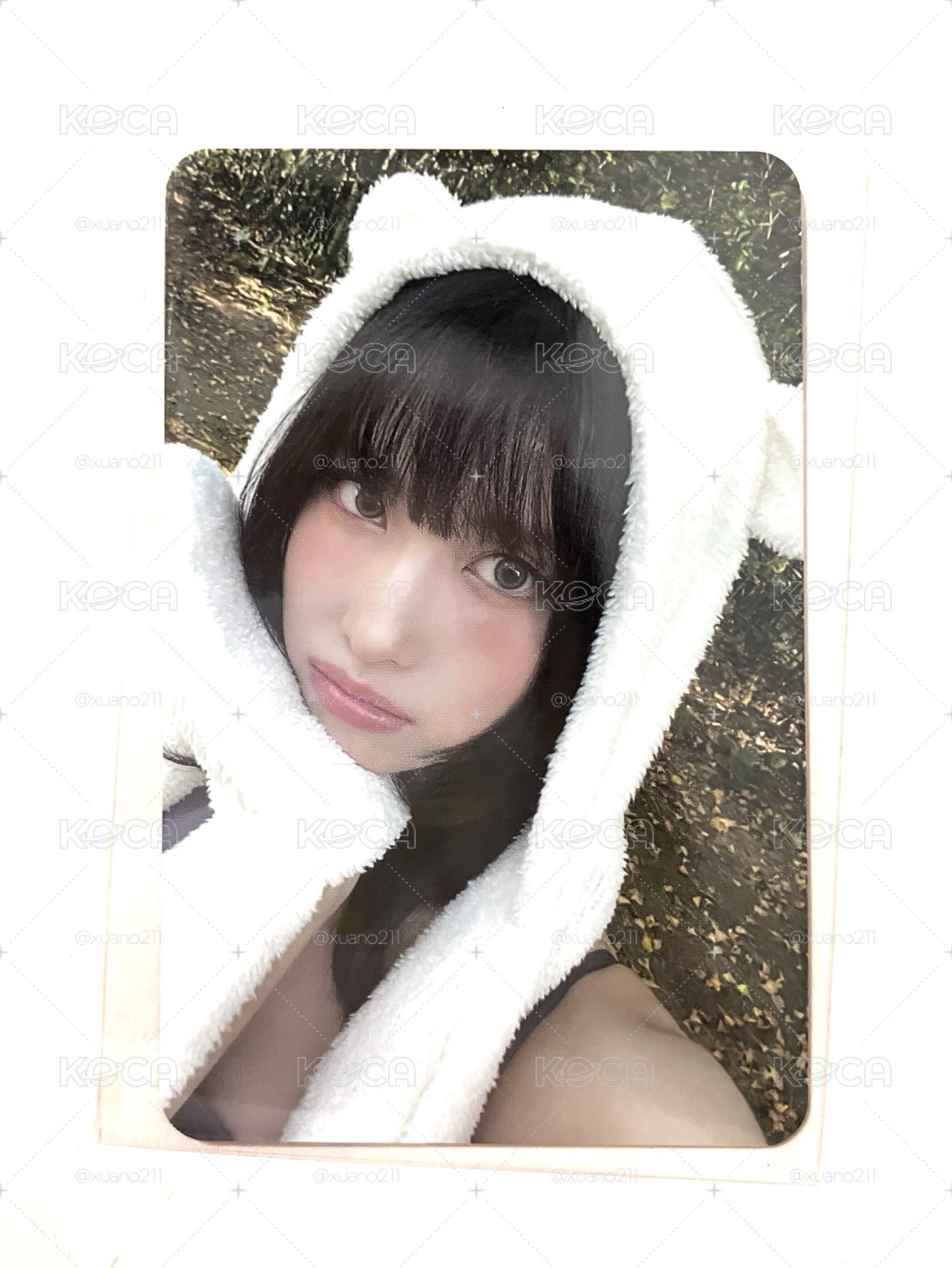 熊帽桃
