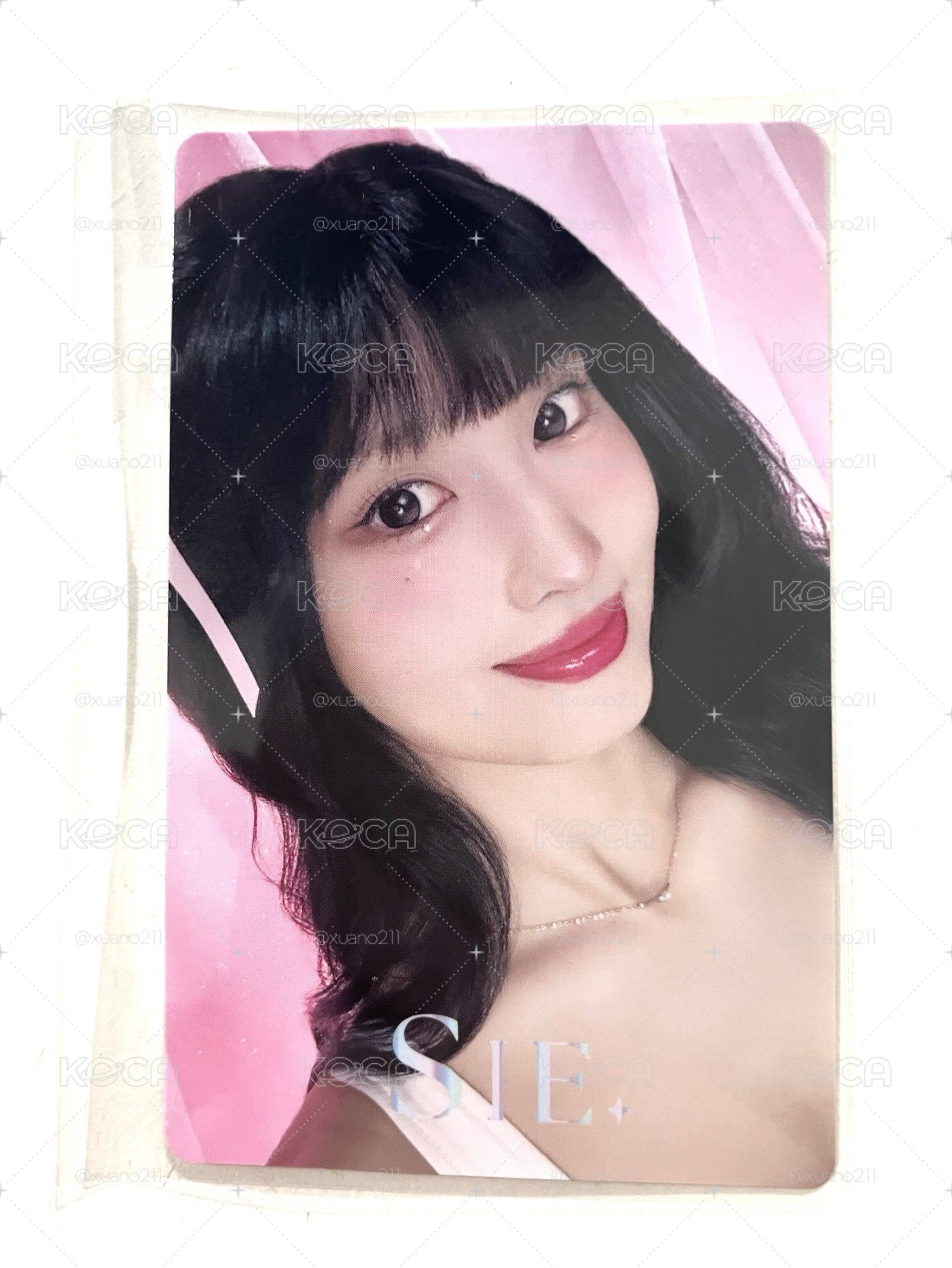 Momo x SIE. 代言卡