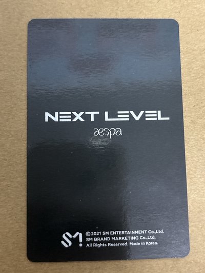 Next Level 周邊卡 冰箱貼柚